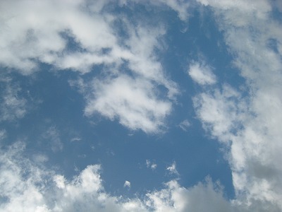 c0134029_1249484.jpg