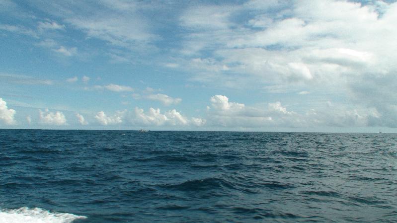 a0132631_9502415.jpg