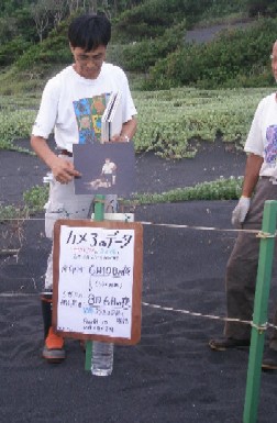 感動さめず　アカウミガメ　脱出降海_c0229433_22121014.jpg