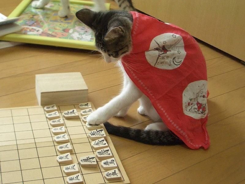 誘惑に負けちゃって？ですやん！_f0056935_1275842.jpg