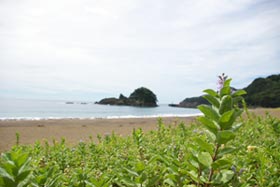 ＊カニをひかないで_a0030038_22473811.jpg
