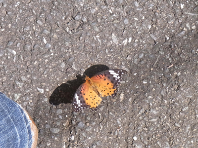 b0019140_1227655.jpg