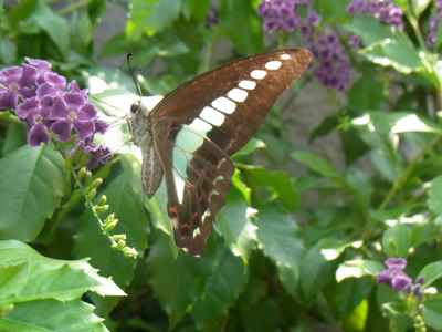 b0019140_1252463.jpg