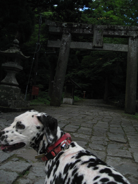 しーちゃんの蒜山＆大山の旅日記_a0158344_21412233.jpg