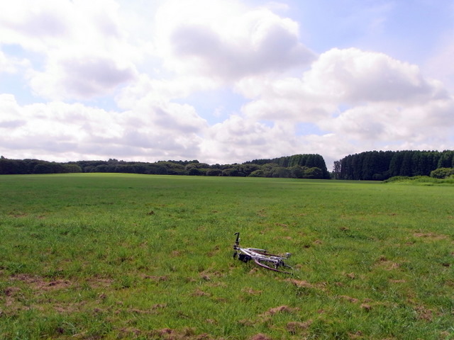 葛飾区水元公園に行ってみた_c0185856_1922642.jpg