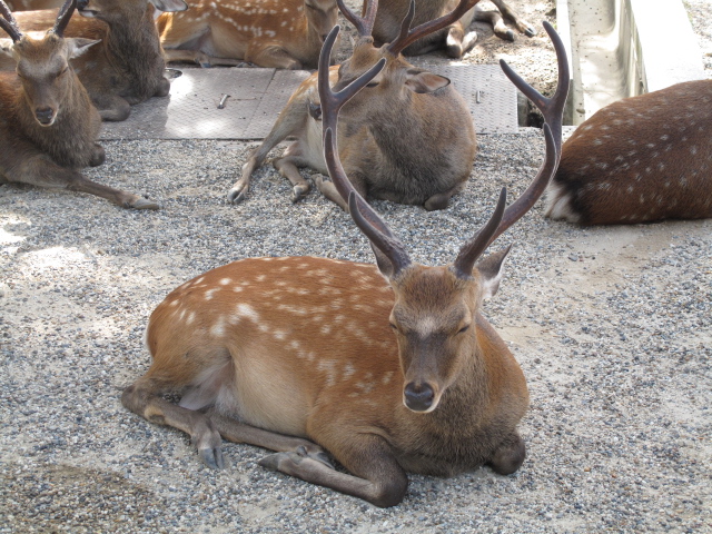 世界遺産を訪ねて・・・_c0126359_18385427.jpg