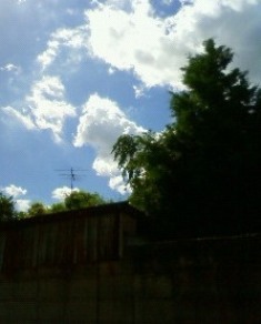 c0135480_17281450.jpg