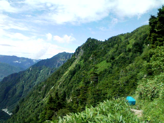c0133096_1552173.jpg