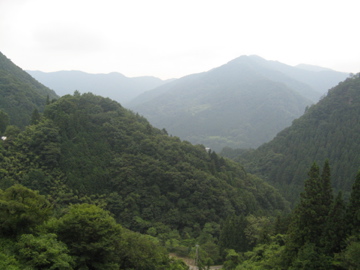 a0117599_10185539.jpg