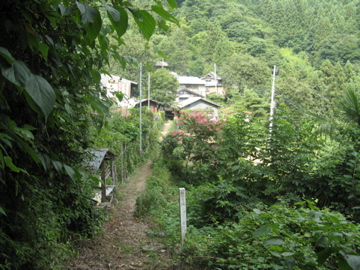a0117599_1022559.jpg