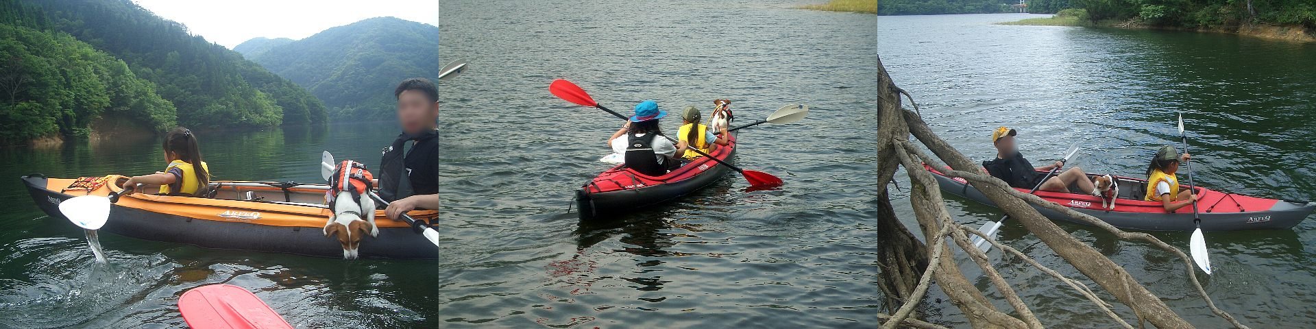 a0051402_29259.jpg