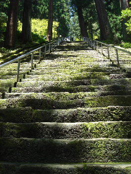 「週末は甲府にいます」　　～石段上って身延山_c0047602_20275662.jpg