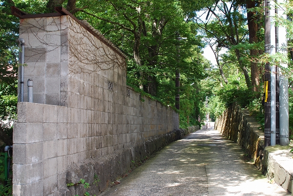 d0089706_8584062.jpg