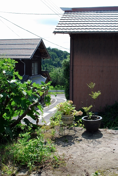 d0089706_91917.jpg