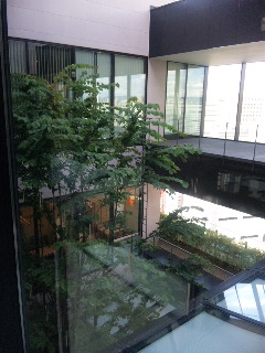 a0169307_1145475.jpg