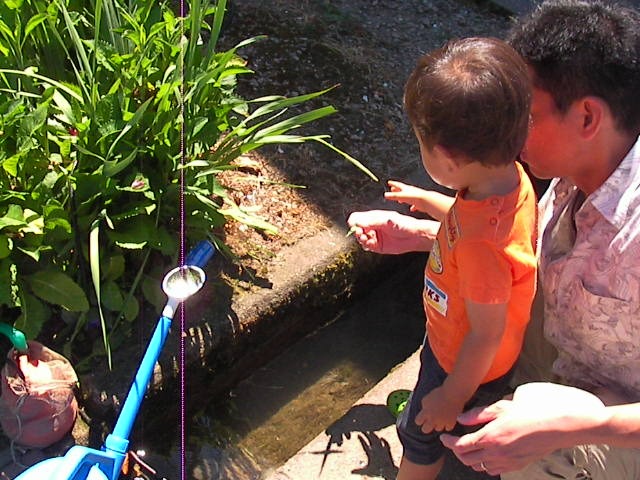 f0038407_11285412.jpg