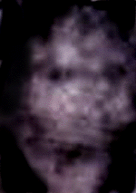 e0103408_1545153.gif