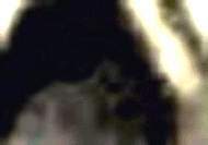 e0103408_15531748.gif