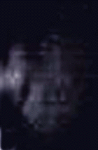e0103408_15541750.gif