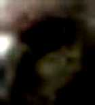 e0103408_1554560.gif