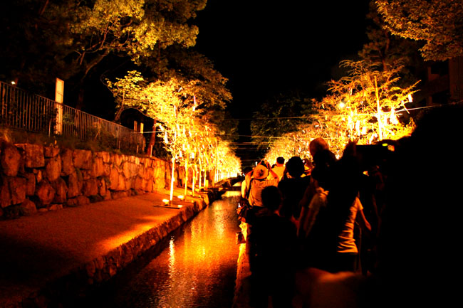 京都の夏 京の七夕_e0048413_1025216.jpg