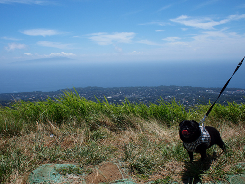 a0096015_122623.jpg