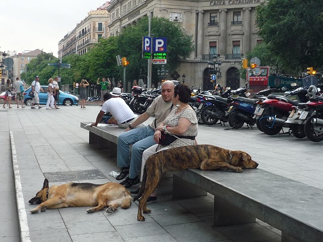 2010♪いぶし銀の旅④～バルセロナの犬と猫_f0095618_4481746.jpg