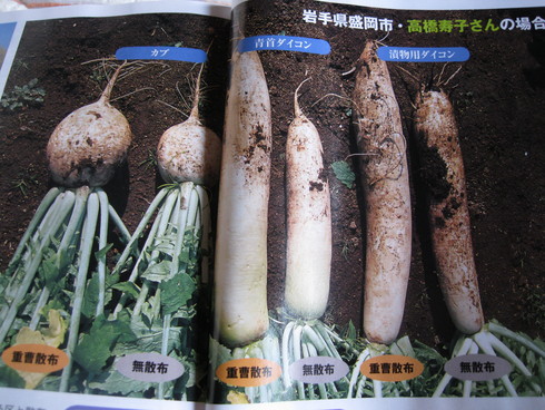 「現代農業」~9月号~~_a0125419_8564927.jpg
