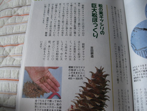 「現代農業」~9月号~~_a0125419_93281.jpg