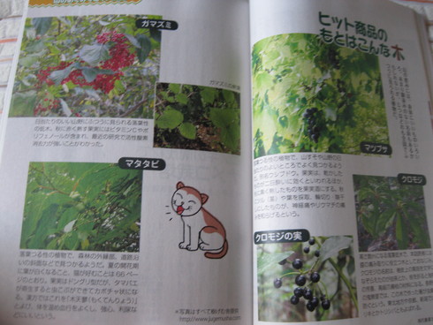 「現代農業」~9月号~~_a0125419_9444.jpg