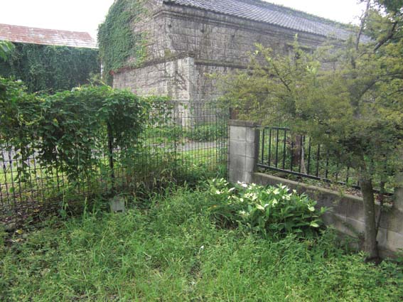 e0023724_925192.jpg
