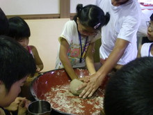 越前里地里山チャレンジ隊2010(その1)_e0061225_1633762.jpg