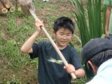 越前里地里山チャレンジ隊2010(その2)_e0061225_16563793.jpg