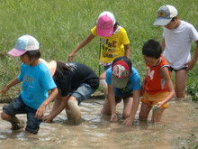 越前里地里山チャレンジ隊2010(その2)_e0061225_16572599.jpg