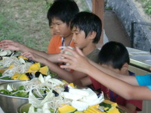 越前里地里山チャレンジ隊2010(その2)_e0061225_17132157.jpg