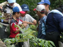 越前里地里山チャレンジ隊2010(その2)_e0061225_1733541.jpg
