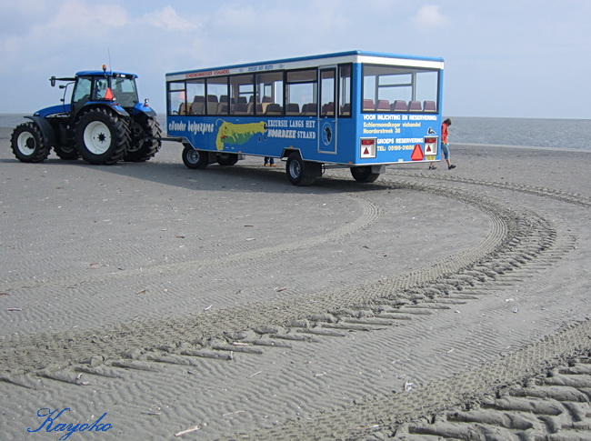 Schiermonnikoog Ⅵ_a0086828_581754.jpg