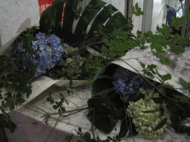 33+2_c0102228_23122026.jpg