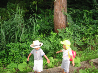 d0040729_02005.jpg
