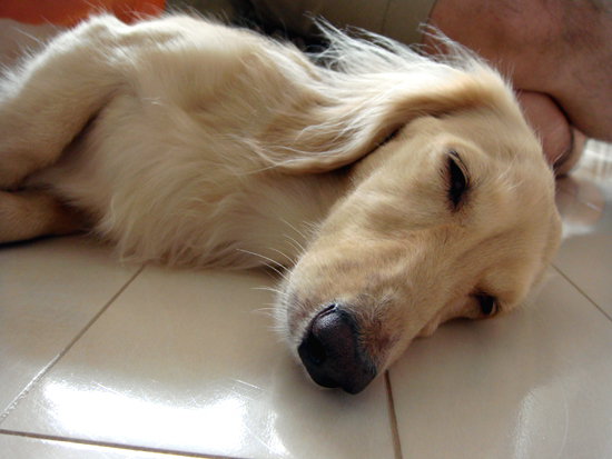 c0117831_20105388.jpg