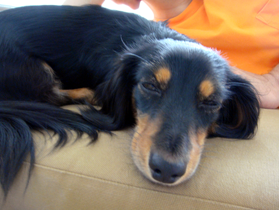 c0117831_2011752.jpg