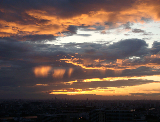 c0117831_20235775.jpg