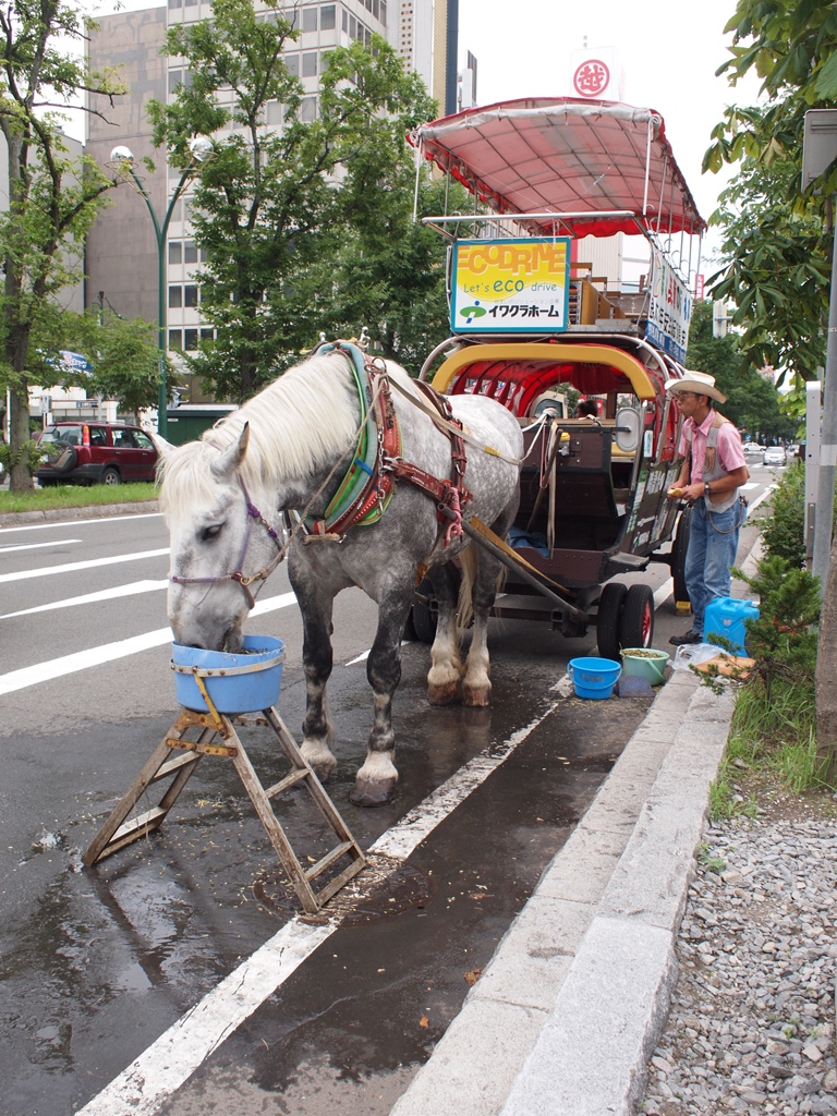 札幌ｂｙアナーツー_b0142435_23413999.jpg