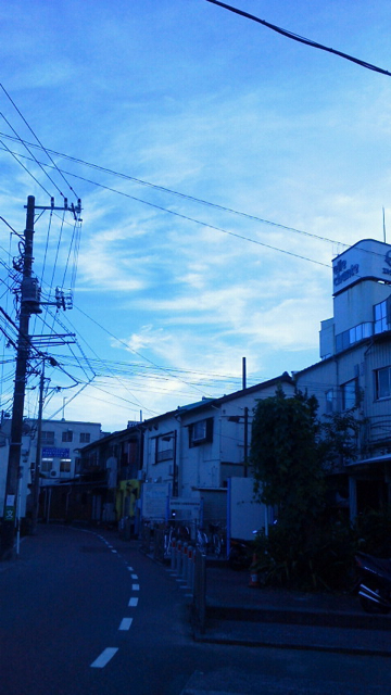 雲だらけの青空＆ネコ_f0179947_1361110.jpg