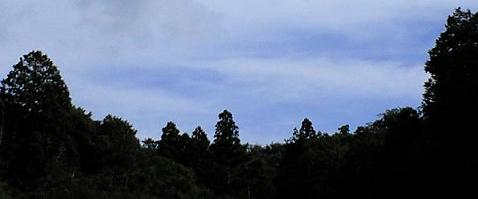b0131254_20365533.jpg