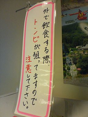 a0096557_20344730.jpg
