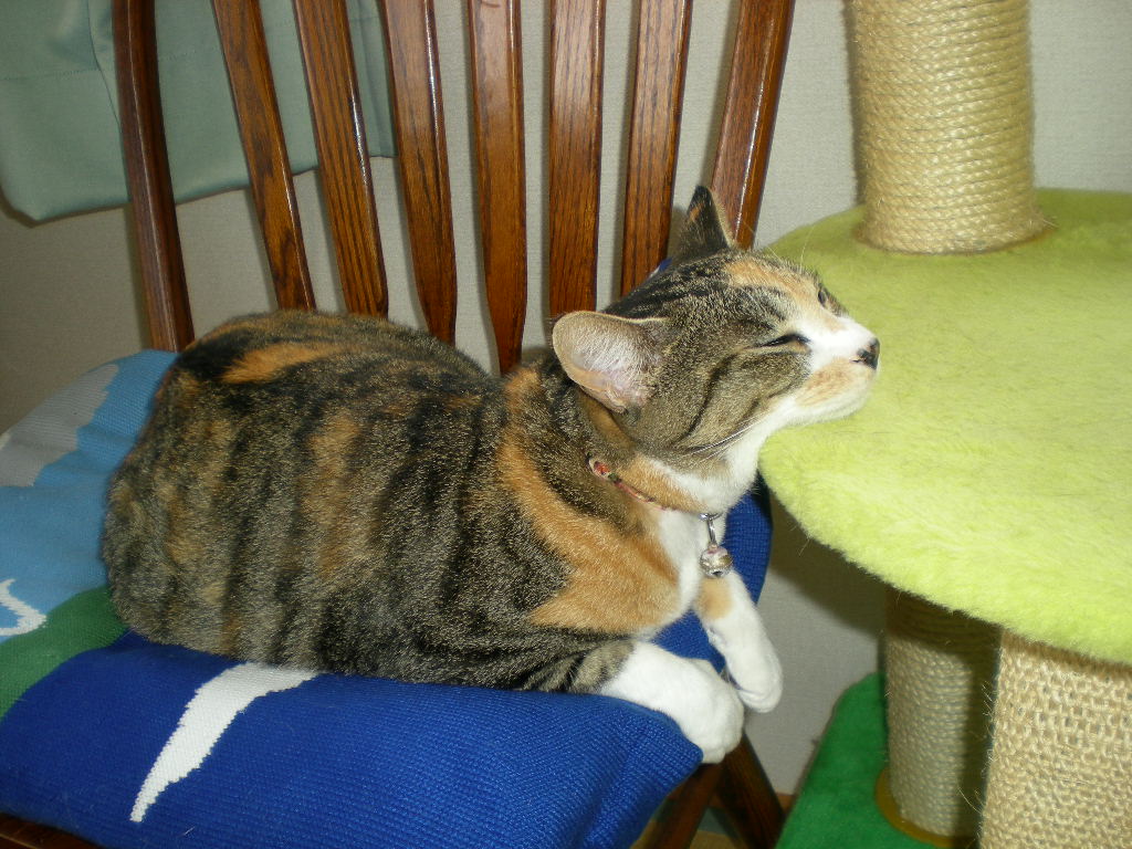 2010年8月12日(水)お盆休み!_f0060461_90956.jpg