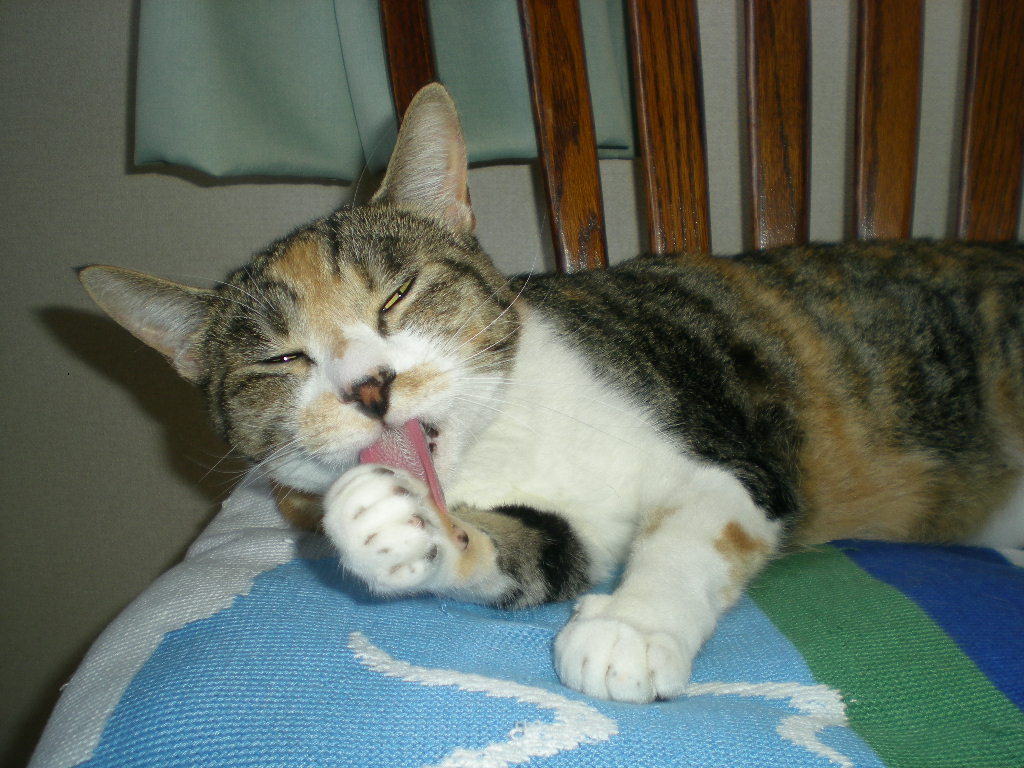 2010年8月12日(水)お盆休み!_f0060461_915117.jpg