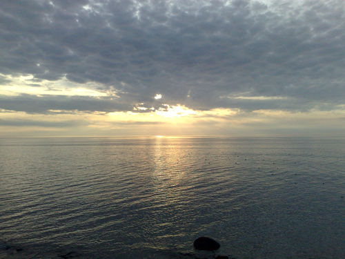 e0080165_1222434.jpg