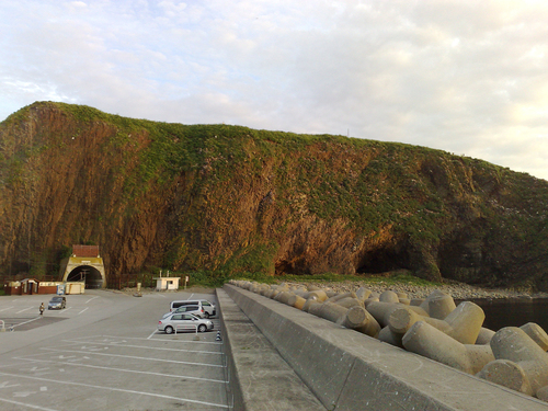 e0080165_12233625.jpg